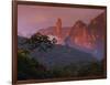 Rainforest and Mountains-Kevin Schafer-Framed Photographic Print