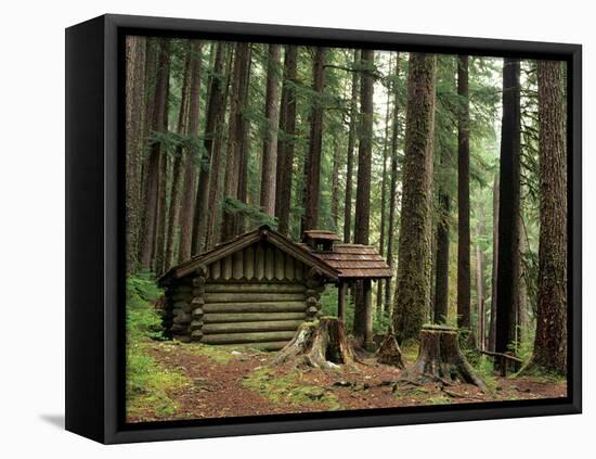 Rainforest and Sol Duc Shelter, Sol Duc Valley, Olympic National Park, Washington, USA-Jamie & Judy Wild-Framed Stretched Canvas