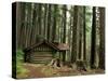 Rainforest and Sol Duc Shelter, Sol Duc Valley, Olympic National Park, Washington, USA-Jamie & Judy Wild-Stretched Canvas