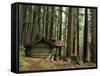 Rainforest and Sol Duc Shelter, Sol Duc Valley, Olympic National Park, Washington, USA-Jamie & Judy Wild-Framed Stretched Canvas