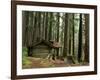 Rainforest and Sol Duc Shelter, Sol Duc Valley, Olympic National Park, Washington, USA-Jamie & Judy Wild-Framed Premium Photographic Print