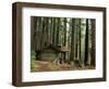 Rainforest and Sol Duc Shelter, Sol Duc Valley, Olympic National Park, Washington, USA-Jamie & Judy Wild-Framed Photographic Print