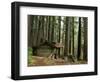 Rainforest and Sol Duc Shelter, Sol Duc Valley, Olympic National Park, Washington, USA-Jamie & Judy Wild-Framed Photographic Print