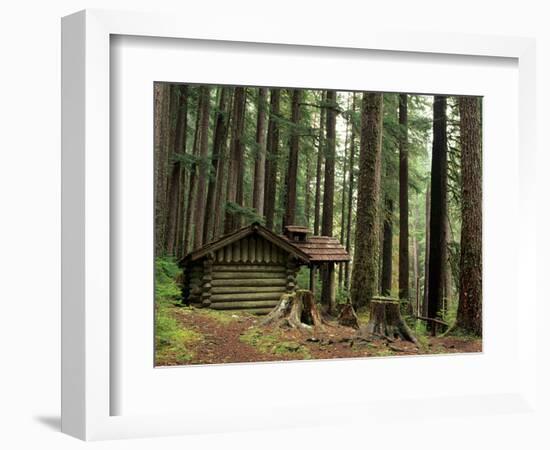 Rainforest and Sol Duc Shelter, Sol Duc Valley, Olympic National Park, Washington, USA-Jamie & Judy Wild-Framed Photographic Print