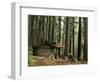 Rainforest and Sol Duc Shelter, Sol Duc Valley, Olympic National Park, Washington, USA-Jamie & Judy Wild-Framed Photographic Print