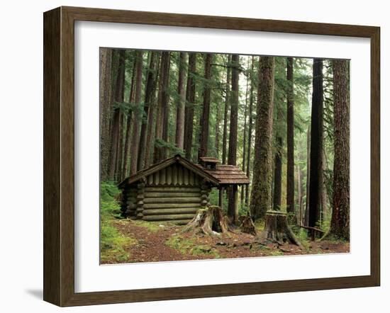 Rainforest and Sol Duc Shelter, Sol Duc Valley, Olympic National Park, Washington, USA-Jamie & Judy Wild-Framed Photographic Print
