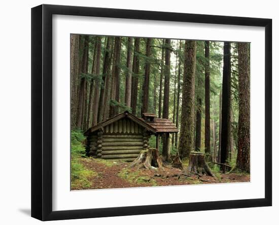 Rainforest and Sol Duc Shelter, Sol Duc Valley, Olympic National Park, Washington, USA-Jamie & Judy Wild-Framed Photographic Print