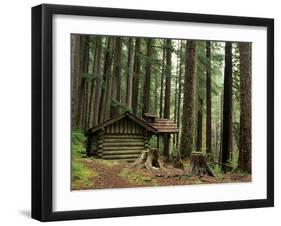 Rainforest and Sol Duc Shelter, Sol Duc Valley, Olympic National Park, Washington, USA-Jamie & Judy Wild-Framed Photographic Print