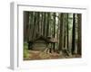 Rainforest and Sol Duc Shelter, Sol Duc Valley, Olympic National Park, Washington, USA-Jamie & Judy Wild-Framed Photographic Print