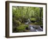 Rainforest and Waterfall in Biopark Near Entrance to Mount Kinabalu National Park, Sabah, Borneo-Mark Hannaford-Framed Photographic Print