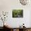 Rainforest and Waterfall in Biopark Near Entrance to Mount Kinabalu National Park, Sabah, Borneo-Mark Hannaford-Photographic Print displayed on a wall