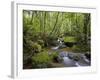 Rainforest and Waterfall in Biopark Near Entrance to Mount Kinabalu National Park, Sabah, Borneo-Mark Hannaford-Framed Photographic Print