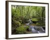 Rainforest and Waterfall in Biopark Near Entrance to Mount Kinabalu National Park, Sabah, Borneo-Mark Hannaford-Framed Photographic Print