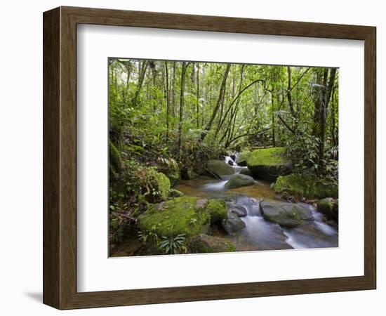 Rainforest and Waterfall in Biopark Near Entrance to Mount Kinabalu National Park, Sabah, Borneo-Mark Hannaford-Framed Photographic Print