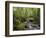 Rainforest and Waterfall in Biopark Near Entrance to Mount Kinabalu National Park, Sabah, Borneo-Mark Hannaford-Framed Photographic Print