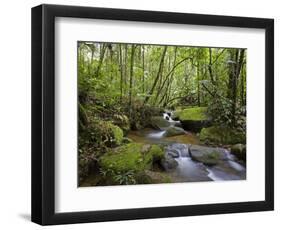 Rainforest and Waterfall in Biopark Near Entrance to Mount Kinabalu National Park, Sabah, Borneo-Mark Hannaford-Framed Photographic Print