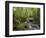 Rainforest and Waterfall in Biopark Near Entrance to Mount Kinabalu National Park, Sabah, Borneo-Mark Hannaford-Framed Photographic Print