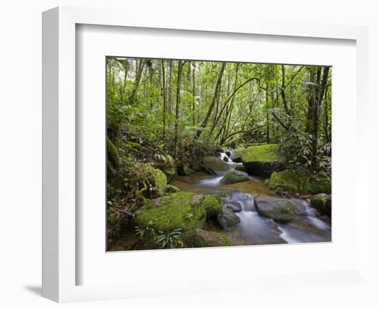 Rainforest and Waterfall in Biopark Near Entrance to Mount Kinabalu National Park, Sabah, Borneo-Mark Hannaford-Framed Photographic Print