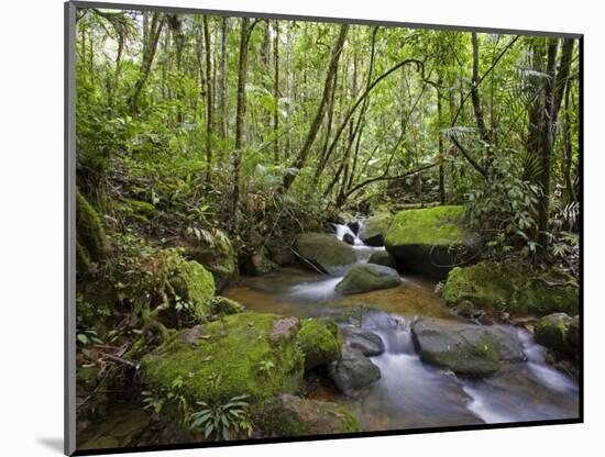 Rainforest and Waterfall in Biopark Near Entrance to Mount Kinabalu National Park, Sabah, Borneo-Mark Hannaford-Mounted Photographic Print