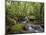 Rainforest and Waterfall in Biopark Near Entrance to Mount Kinabalu National Park, Sabah, Borneo-Mark Hannaford-Mounted Photographic Print