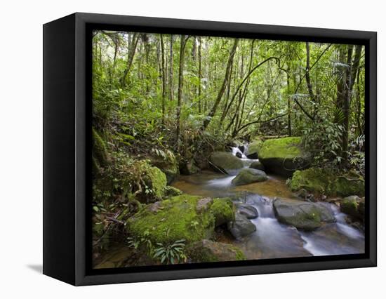 Rainforest and Waterfall in Biopark Near Entrance to Mount Kinabalu National Park, Sabah, Borneo-Mark Hannaford-Framed Stretched Canvas