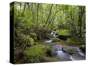 Rainforest and Waterfall in Biopark Near Entrance to Mount Kinabalu National Park, Sabah, Borneo-Mark Hannaford-Stretched Canvas