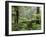 Rainforest, Bunyip State Park, Victoria, Australia, Pacific-Schlenker Jochen-Framed Photographic Print