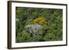 Rainforest Canopy. Kupinang Region, Guyana-Pete Oxford-Framed Photographic Print