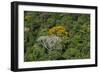 Rainforest Canopy. Kupinang Region, Guyana-Pete Oxford-Framed Photographic Print