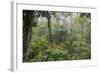 Rainforest Canopy Walkway, Sabah, Borneo, September 2015-Adrian Davies-Framed Photographic Print