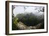 Rainforest Canopy. Yasuni NP, Amazon Rainforest, Ecuador-Pete Oxford-Framed Photographic Print