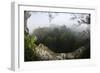 Rainforest Canopy. Yasuni NP, Amazon Rainforest, Ecuador-Pete Oxford-Framed Photographic Print