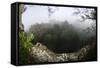 Rainforest Canopy. Yasuni NP, Amazon Rainforest, Ecuador-Pete Oxford-Framed Stretched Canvas