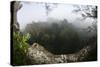 Rainforest Canopy. Yasuni NP, Amazon Rainforest, Ecuador-Pete Oxford-Stretched Canvas