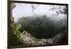 Rainforest Canopy. Yasuni NP, Amazon Rainforest, Ecuador-Pete Oxford-Framed Photographic Print