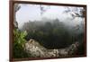 Rainforest Canopy. Yasuni NP, Amazon Rainforest, Ecuador-Pete Oxford-Framed Photographic Print