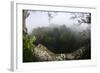 Rainforest Canopy. Yasuni NP, Amazon Rainforest, Ecuador-Pete Oxford-Framed Photographic Print