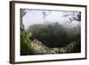 Rainforest Canopy. Yasuni NP, Amazon Rainforest, Ecuador-Pete Oxford-Framed Photographic Print