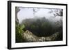 Rainforest Canopy. Yasuni NP, Amazon Rainforest, Ecuador-Pete Oxford-Framed Photographic Print