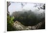 Rainforest Canopy. Yasuni NP, Amazon Rainforest, Ecuador-Pete Oxford-Framed Premium Photographic Print