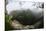 Rainforest Canopy. Yasuni NP, Amazon Rainforest, Ecuador-Pete Oxford-Mounted Premium Photographic Print