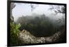 Rainforest Canopy. Yasuni NP, Amazon Rainforest, Ecuador-Pete Oxford-Framed Premium Photographic Print