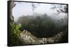 Rainforest Canopy. Yasuni NP, Amazon Rainforest, Ecuador-Pete Oxford-Framed Stretched Canvas