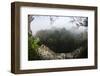 Rainforest Canopy. Yasuni NP, Amazon Rainforest, Ecuador-Pete Oxford-Framed Photographic Print