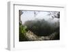 Rainforest Canopy. Yasuni NP, Amazon Rainforest, Ecuador-Pete Oxford-Framed Photographic Print