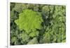 Rainforest Canopy, Yasuni NP, Amazon Rainforest, Ecuador-Pete Oxford-Framed Photographic Print