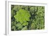 Rainforest Canopy, Yasuni NP, Amazon Rainforest, Ecuador-Pete Oxford-Framed Photographic Print