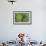 Rainforest Canopy, Yasuni NP, Amazon Rainforest, Ecuador-Pete Oxford-Framed Photographic Print displayed on a wall