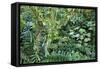 Rainforest, Costa Rica-null-Framed Stretched Canvas