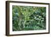 Rainforest, Costa Rica-null-Framed Photographic Print